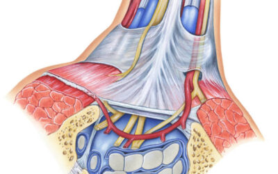 SINDROME DEL TUNEL CARPIANO